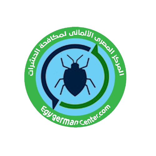 LOGO12-removebg-preview